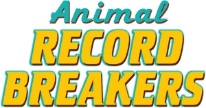 Contents Record breakers Humans can be amazing Athletes with super-fit - photo 2