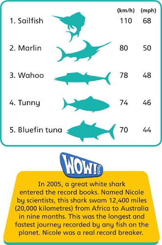 The animal that breaks many Wow records is the blue whale For size alone it - photo 11