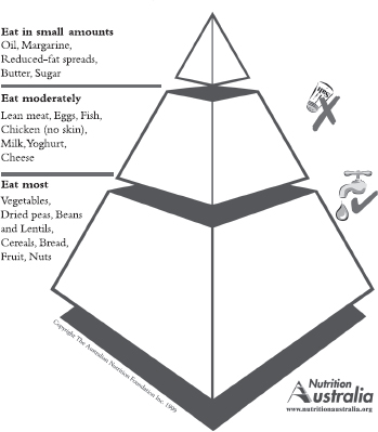 The Healthy Eating Pyramid reproduced with the permission of The Australian - photo 3