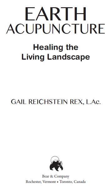 Earth Acupuncture Healing the Living Landscape - image 1