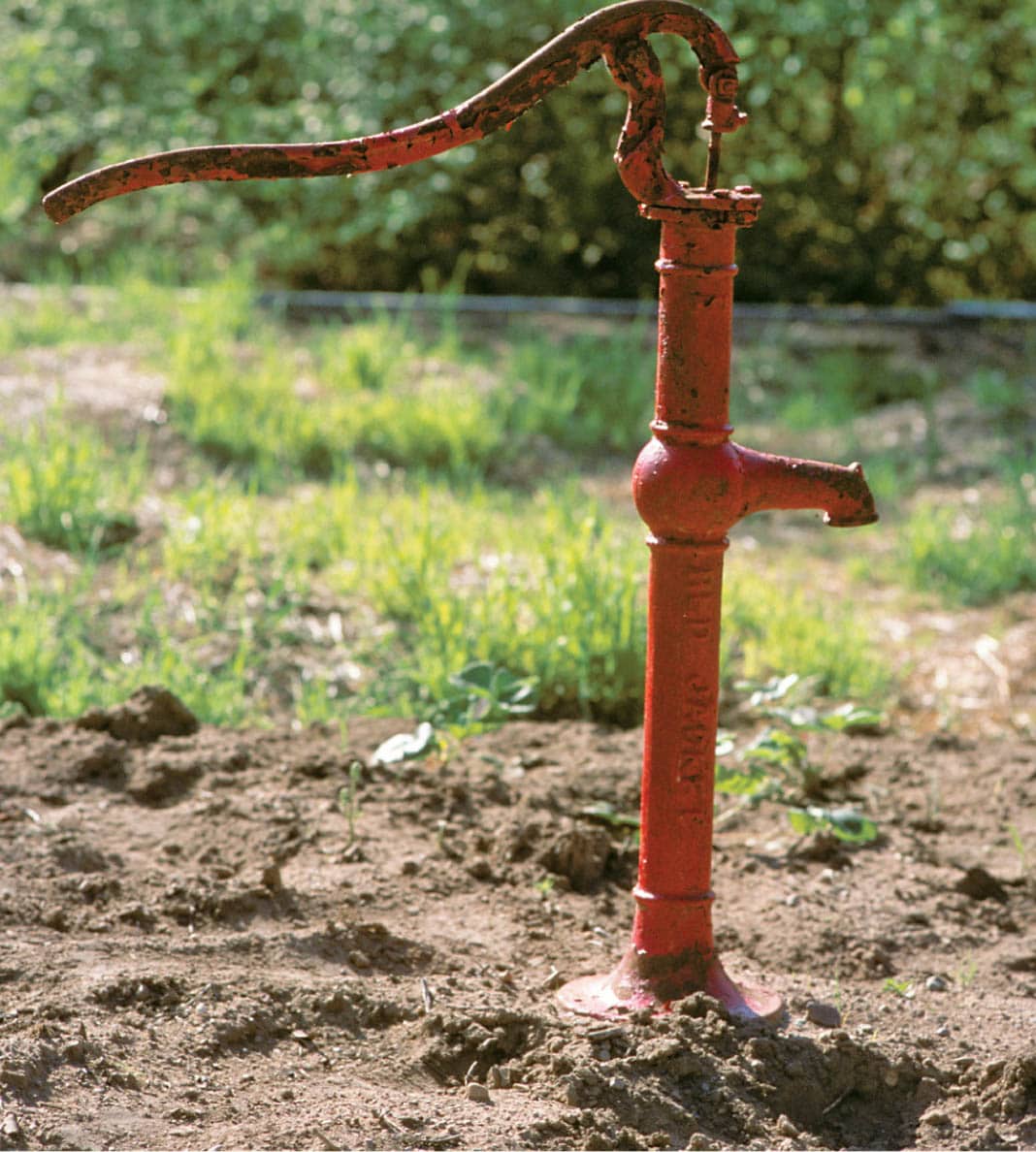 An outdoor spigot or water pump located within easy reach of your garden plot - photo 7