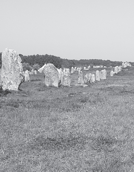 Figure 11 The beginning of Le Menec at Carnac in the Brittanyregion of - photo 4