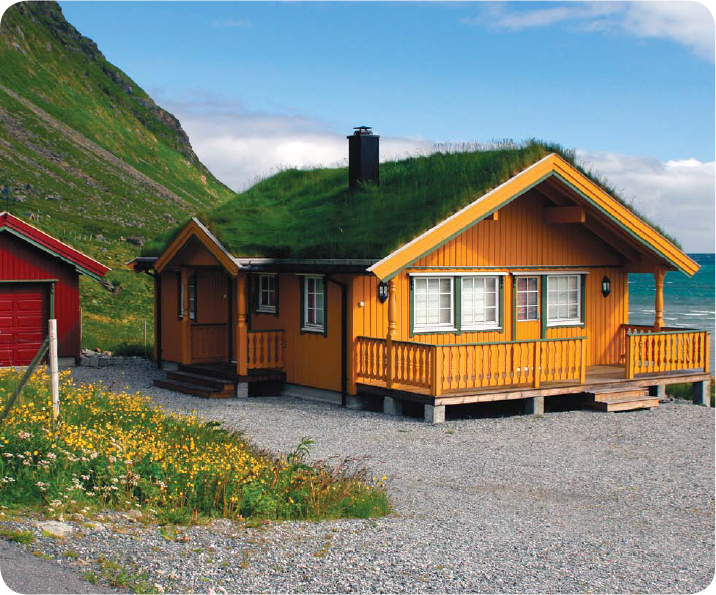 Roofs made of grass called cover some homes in Norway All around the - photo 20