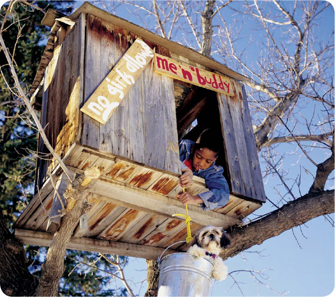 Is your dream home a treehouse Around the world many people live in homes - photo 4