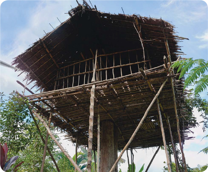 In New Guinea some people build homes in the tops of trees In Panama some - photo 7