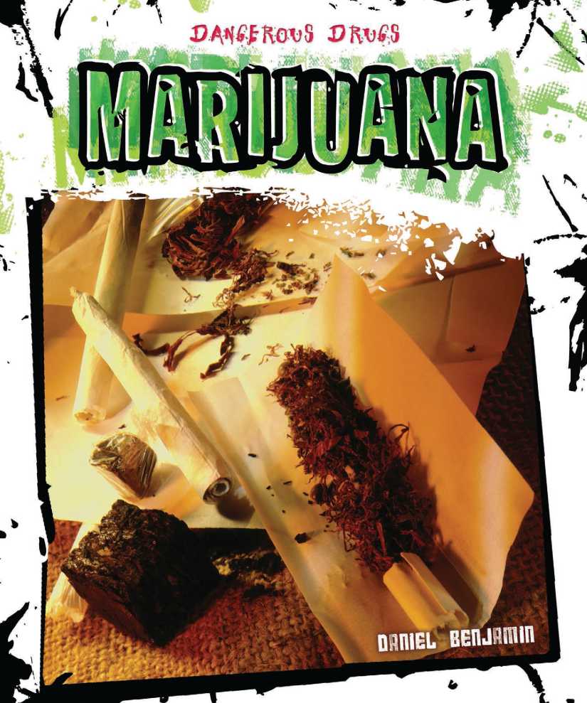 CHAPTER 1 What is Marijuana CHAPTER 2 Marijuana Harmful To Your Health CHAPTER - photo 1