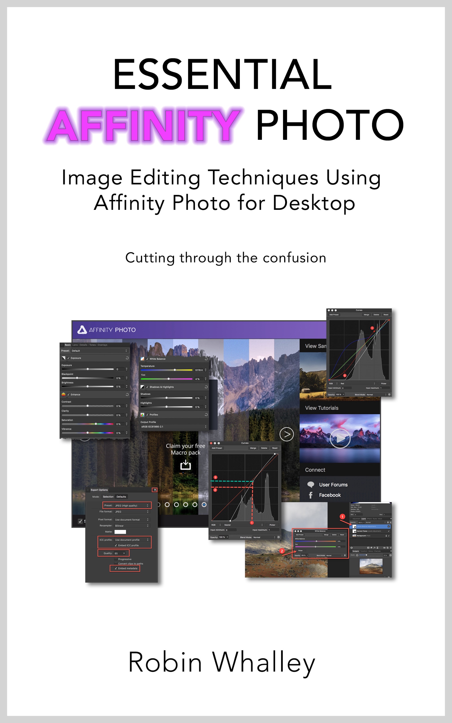 Essential Affinity Photo Image Editing Techniques Using Affinity Photo for - photo 1