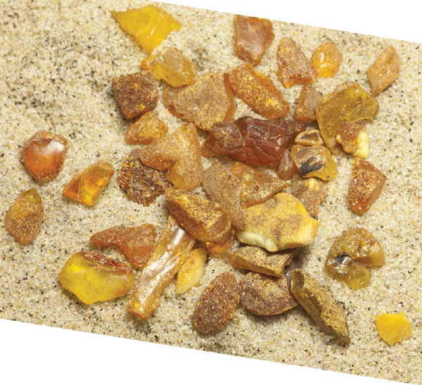 Most of the worlds amber comes from a mine or a place where stone or gems are - photo 3