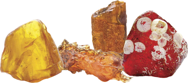 Transparent amber gems are often more valuable than those that are a bit - photo 5