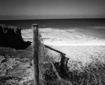 A dingo would have to be able to abseil to cross the Dog Fence at its starting - photo 4