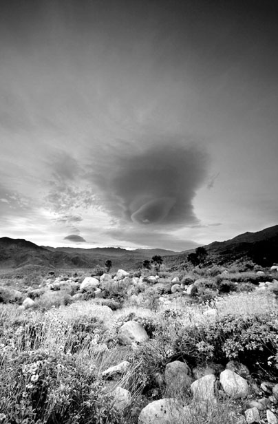 Andreas Canyon Palm Springs Desert Resorts Conventions Visitors Authority A - photo 1