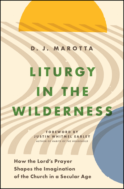 Praise for Liturgy in the Wilderness Dans voice is a rare gem in Christian - photo 1