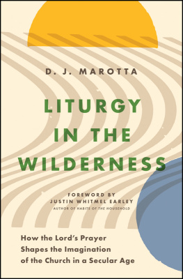 D. J. Marotta Liturgy in the Wilderness: How the Lords Prayer Shapes the Imagination of the Church in a Secular Age