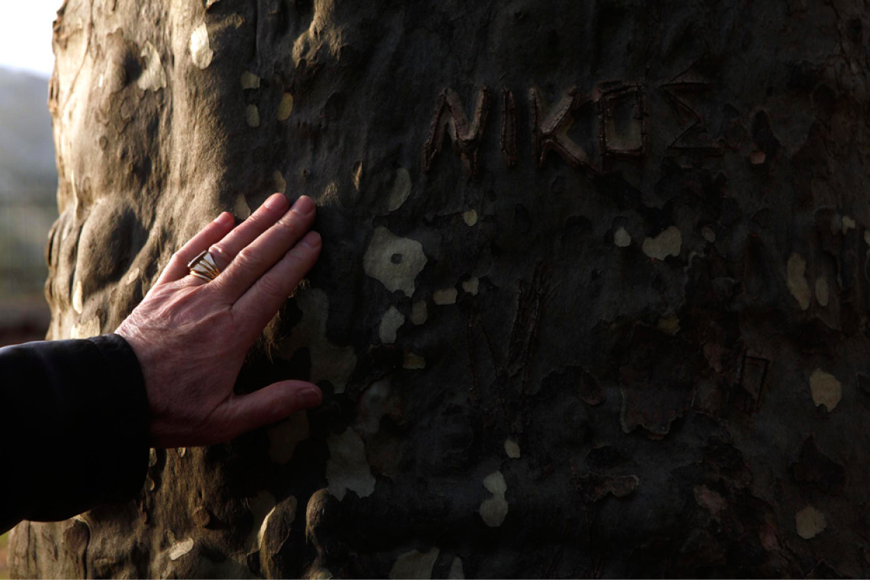 A cousin touches a tree in Rizes Greece where villagers have carved their - photo 3