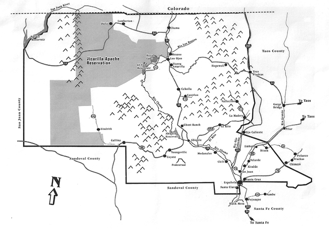 Rio Arriba County New Mexico illustration by Guy Rossi 1864 map of New - photo 3