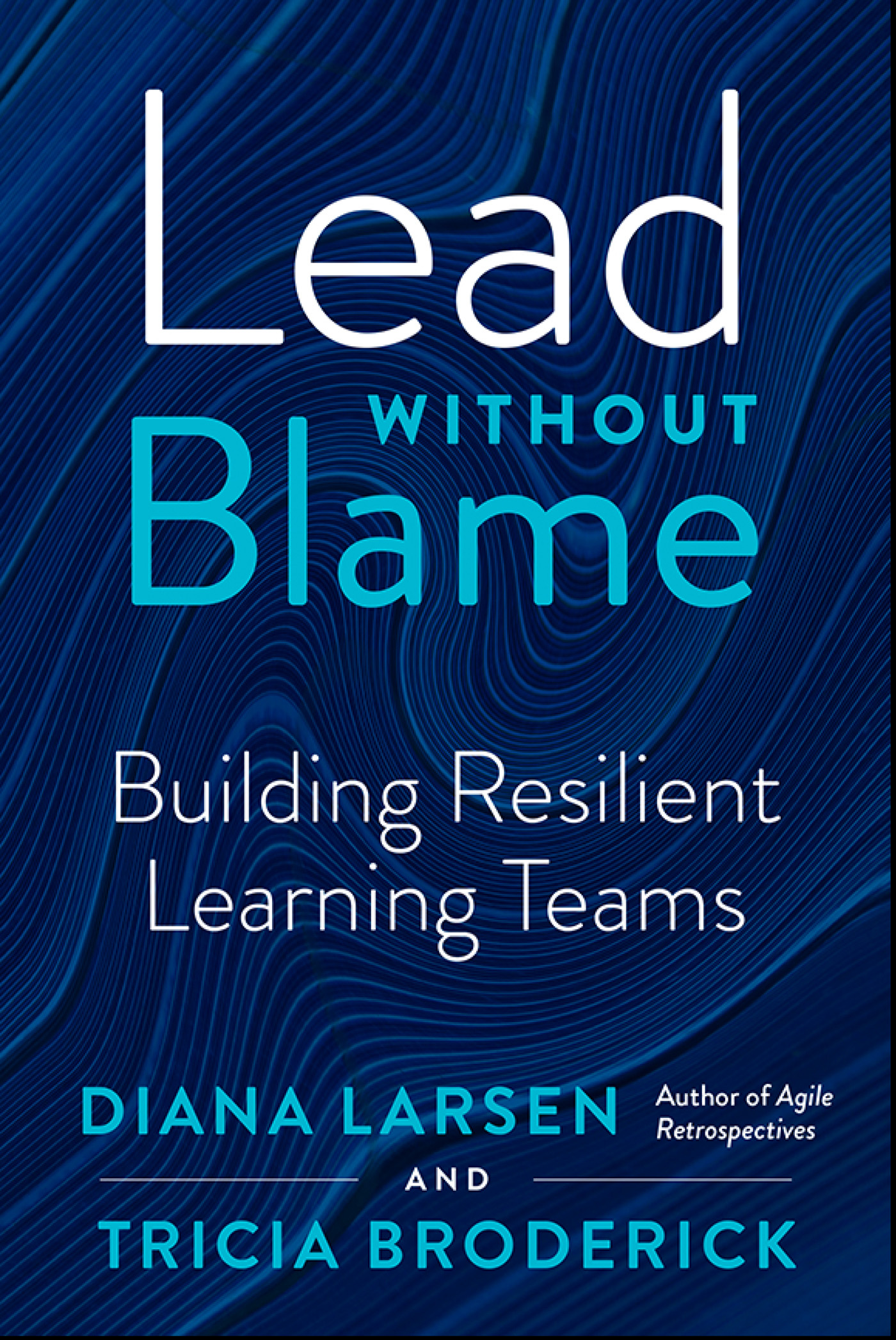 Lead without Blame LEAD WITHOUT BLAME BUILDING RESILIENT LEARNING TEAMS DIANA - photo 1