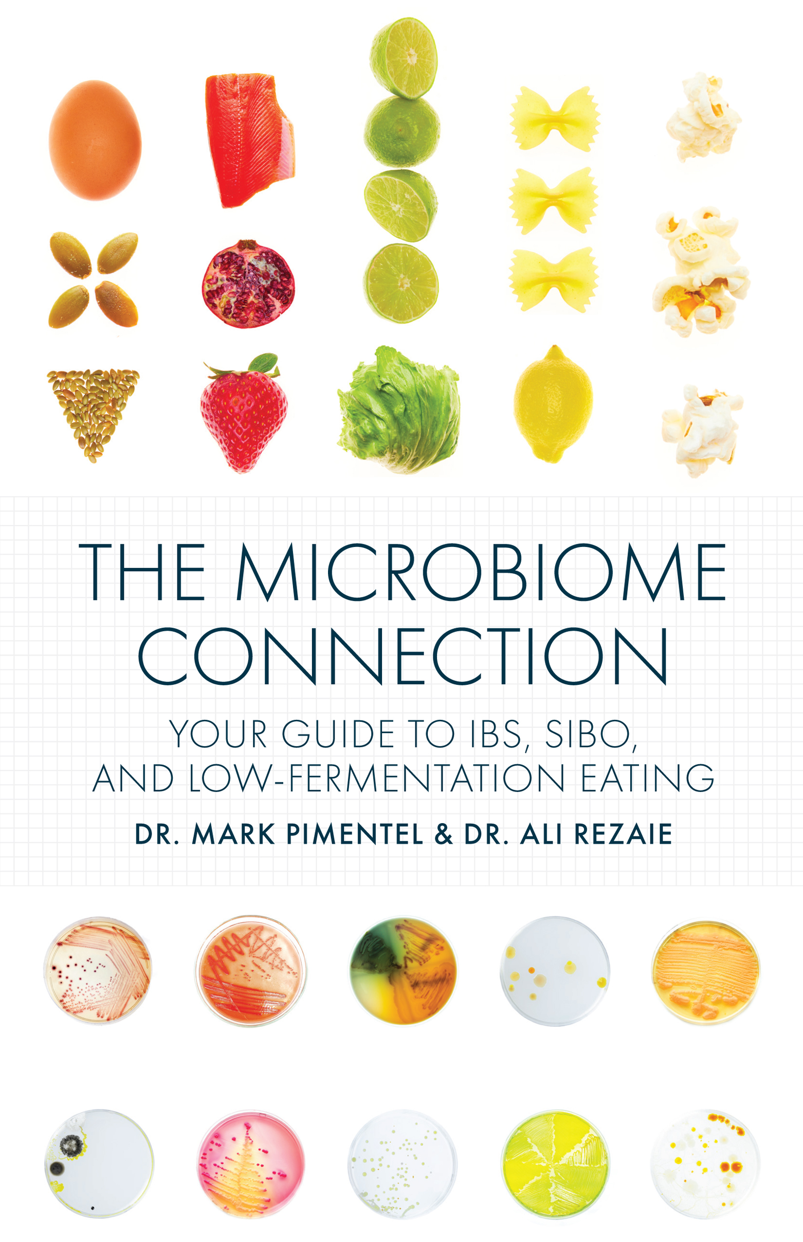The Microbiome Connection Your Guide to IBS SIBO and Low-Fermentation - photo 1