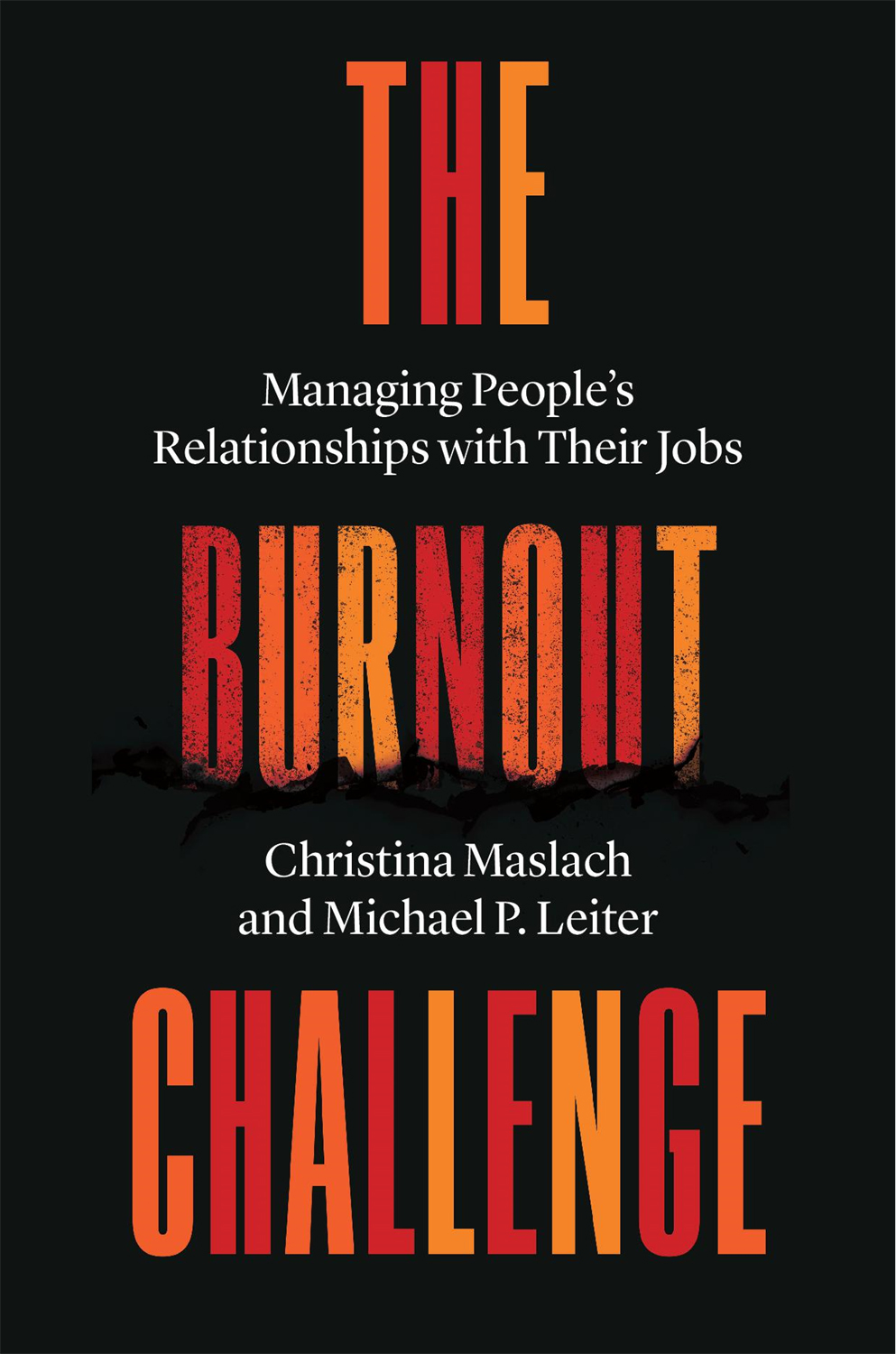 THE BURNOUT CHALLENGE Managing Peoples Relationships with Their Jobs - photo 1