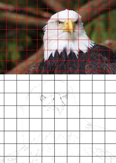 After erasing the grid your sketch shouldlook like the sketch below Black - photo 8