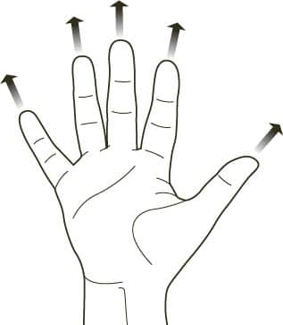 Hold your little and your ring finger and your middle and forefinger together - photo 8