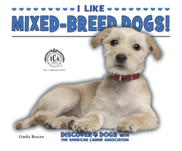 Linda Bozzo - I Like Mixed-Breed Dogs!