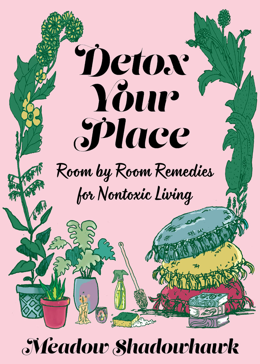 Detox Your Place Room by Room Remedies for Nontoxic Living Part of the DIY - photo 1