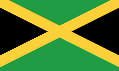 The flag of Jamaica It was when Karl moved to Toronto that he met and - photo 2