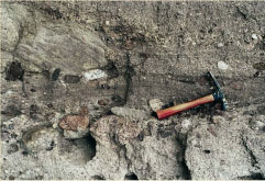 The Fountain Formation contains chunks of granite and quartz remnants of a - photo 8