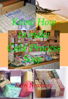 Kerri Newbury - Know How to Make Cold Process Soap