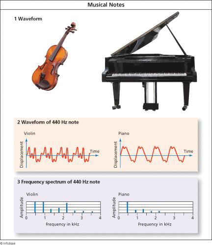 Musical instruments produce a fundamental frequency together with a series of - photo 3