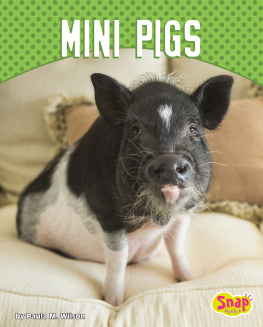 Paula M. Wilson - Mini Pigs