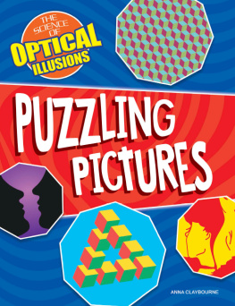 Anna Claybourne - Puzzling Pictures