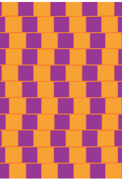 Take a look at this tiled pattern and answer the simple question Are the - photo 8