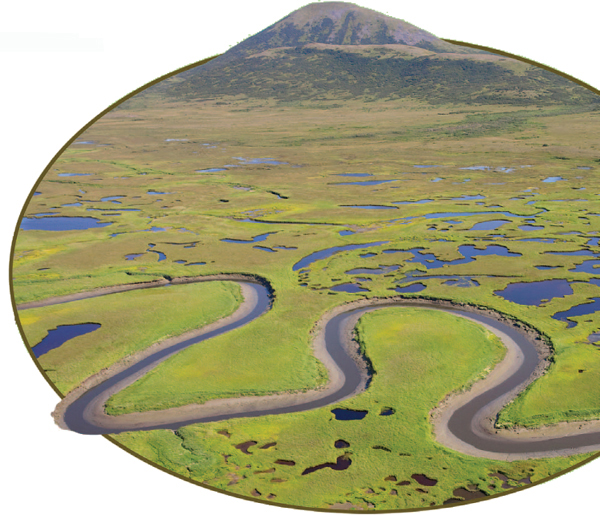 Here it is summer on the Alaskan tundra Rivers and pools of water form as ice - photo 4