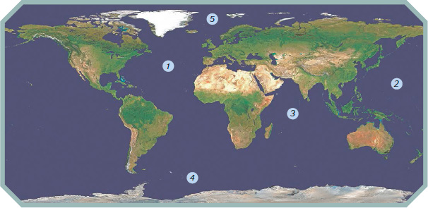 The largest ocean the Pacific covers about one-third of Earths surface The - photo 9