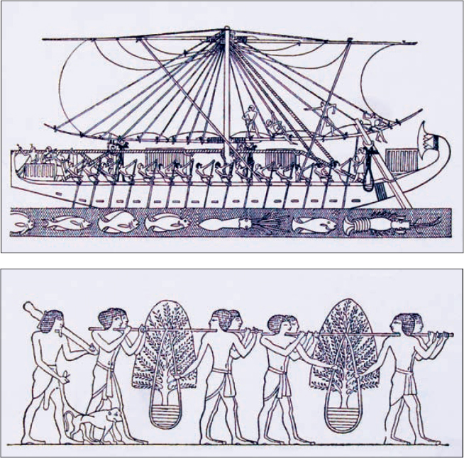 The first recorded plant-hunting expedition a ship heading to Punt and tree - photo 9