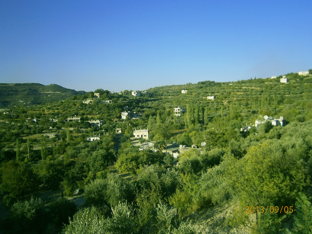 A Mahmoud Kfarieh the green village where I was born and spent the first - photo 3