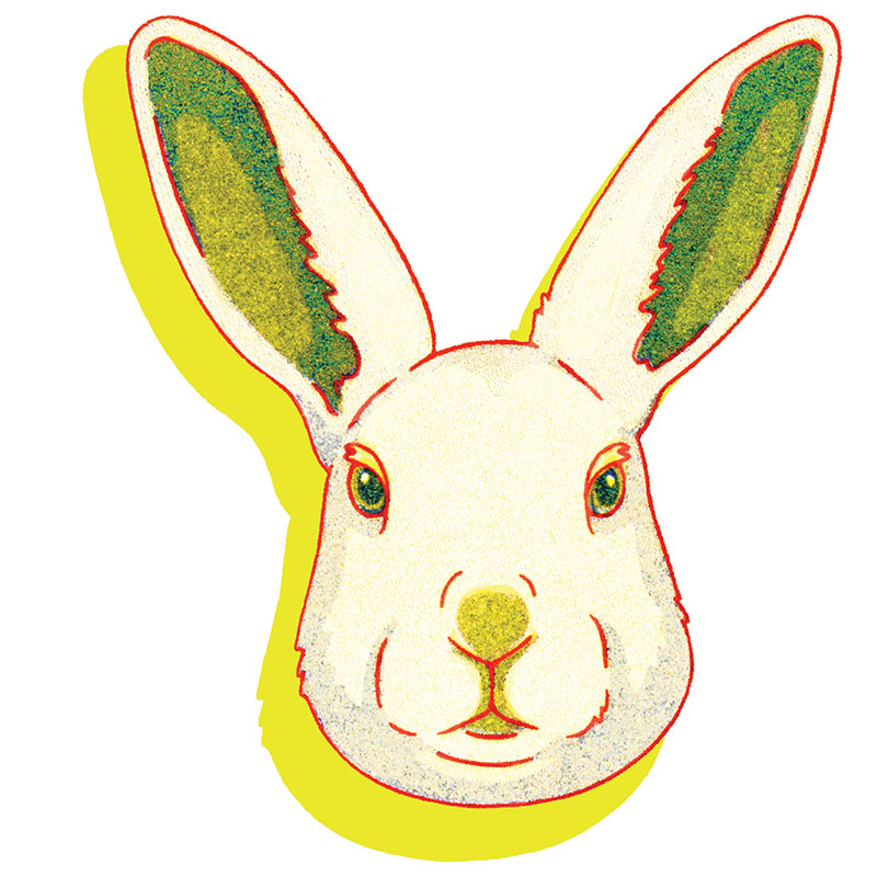 Advance Praise for Glowing Bunnies This important easy-to-read book vividly - photo 3