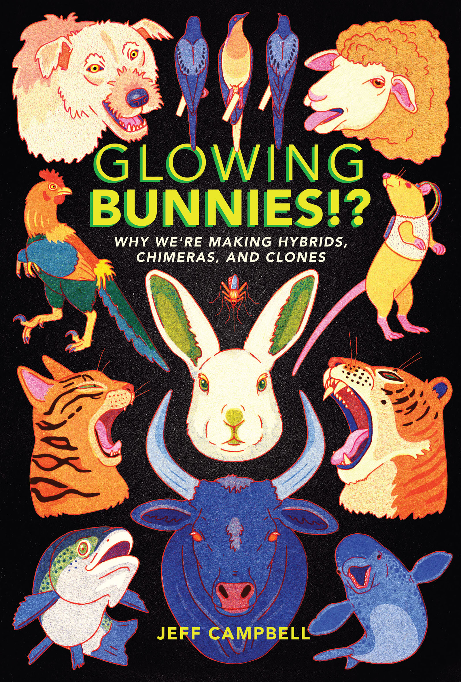 Advance Praise for Glowing Bunnies This important easy-to-read book vividly - photo 2