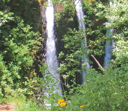 PREFACE Day Hikes in the Columbia River Gorge is the most straightforward - photo 13