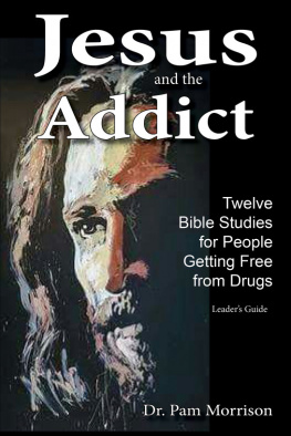 Pam Morrison Jesus and the Addict: Twelve Bible Studies for People Getting Free from Drugs