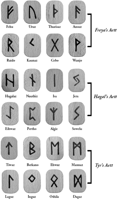 The 24 runes of the Elder Futhark Fehu Uruz Thurisaz Ansuz Raido Kaunauz - photo 4