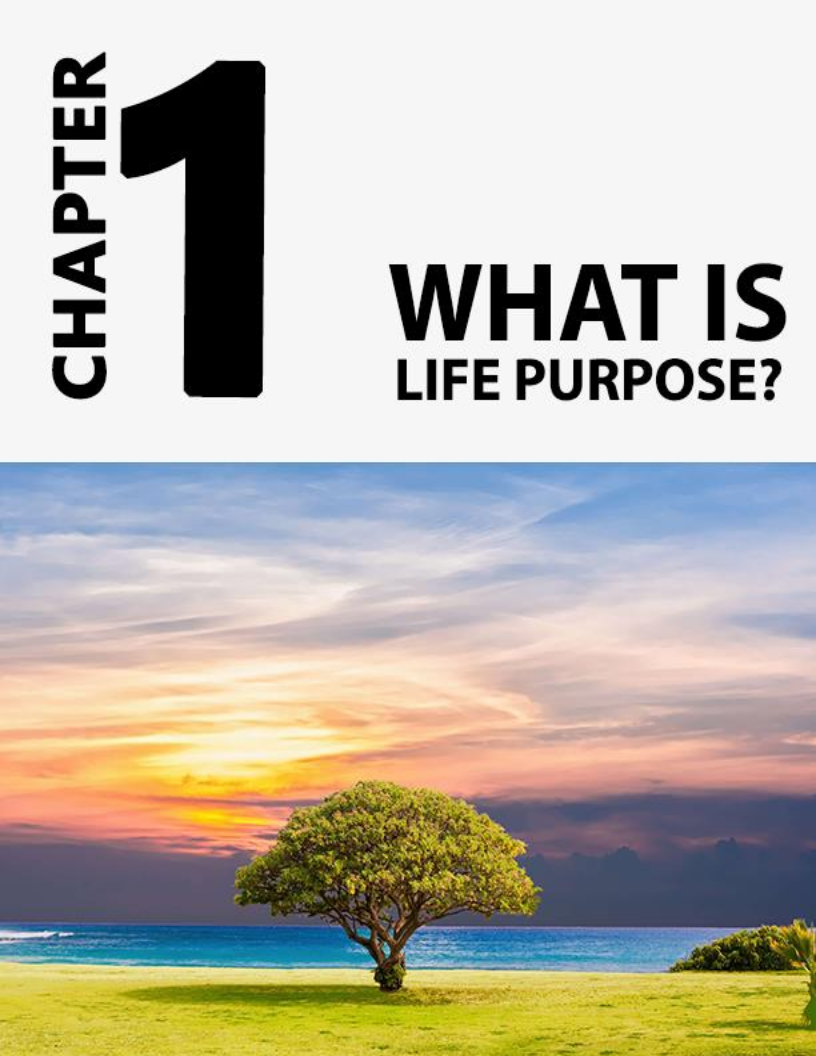 Chapter 1 What Is Life Purpose Most people have no idea what theyd - photo 11