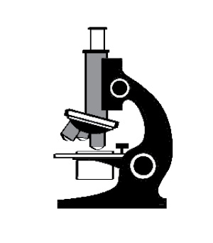 Biology Tidbits The Cell Theory The idea that all living things are composed - photo 11