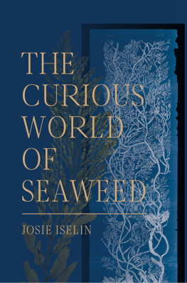 Josie Iselin - The Curious World of Seaweed