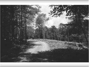 THE MAYFLOWER When the stagecoach topped the hill from Monterey and we looked - photo 1