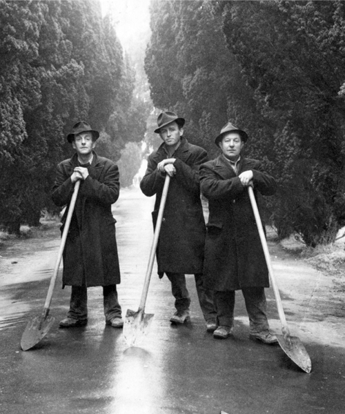 Glasnevin Cemetery gravediggers Tommy Bonass Tommy Byrne and Benny Gilbert - photo 1