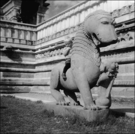 Zerky horsing around on an erotic temple at Khajuraho Zerky and his Sherpa - photo 15