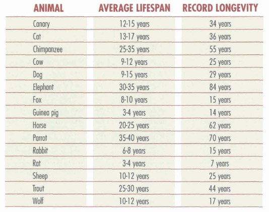 In the case of carnivores among the thirty-five species that make up the - photo 4