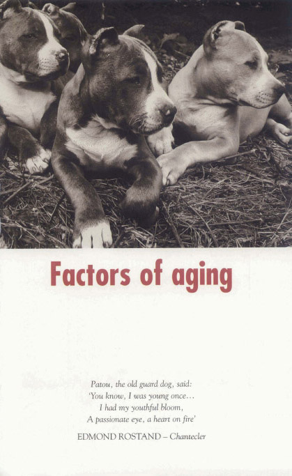 With the dog just as with all other animals senescence or biological aging - photo 12